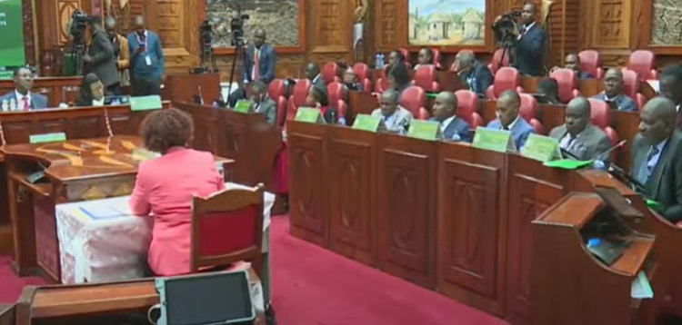 Cabinet nominees vetting appear before the Parliamentary Committees