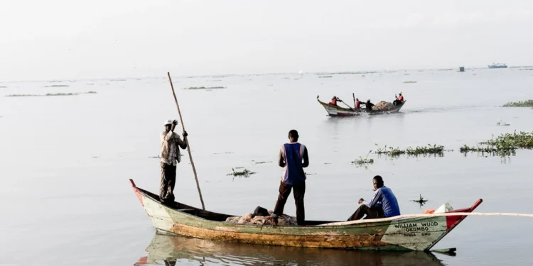 Fishermen at work in Lake Victoria, Kenya