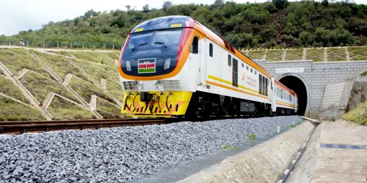 Suswa Leisure Train