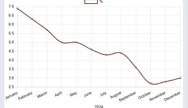 Inflation Rate in last 12 months (2024)